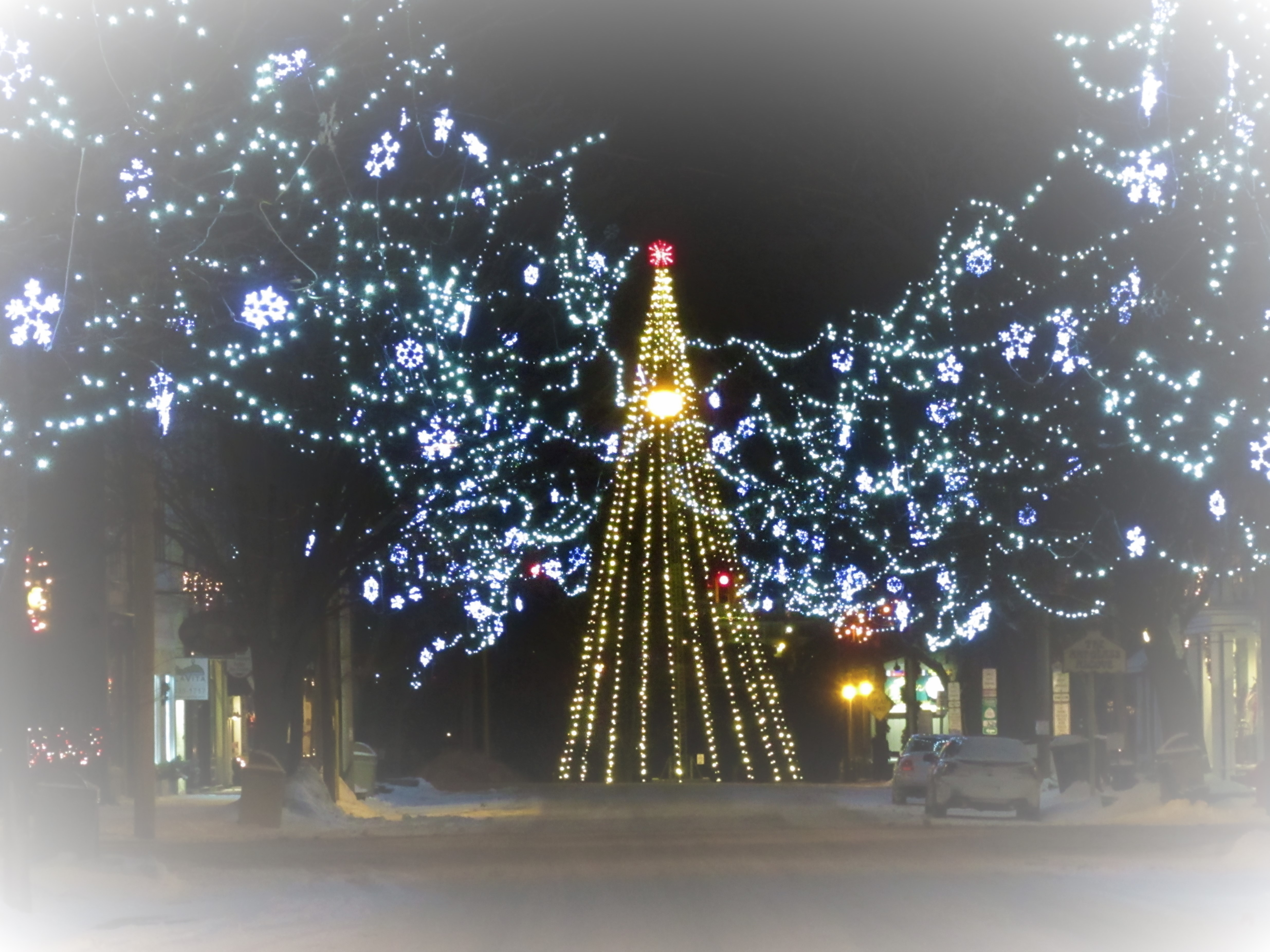 Decorated street underneath a field of lights with snowflake lights interspersed among the field that frames a tall string light tree with red snowflake top. 