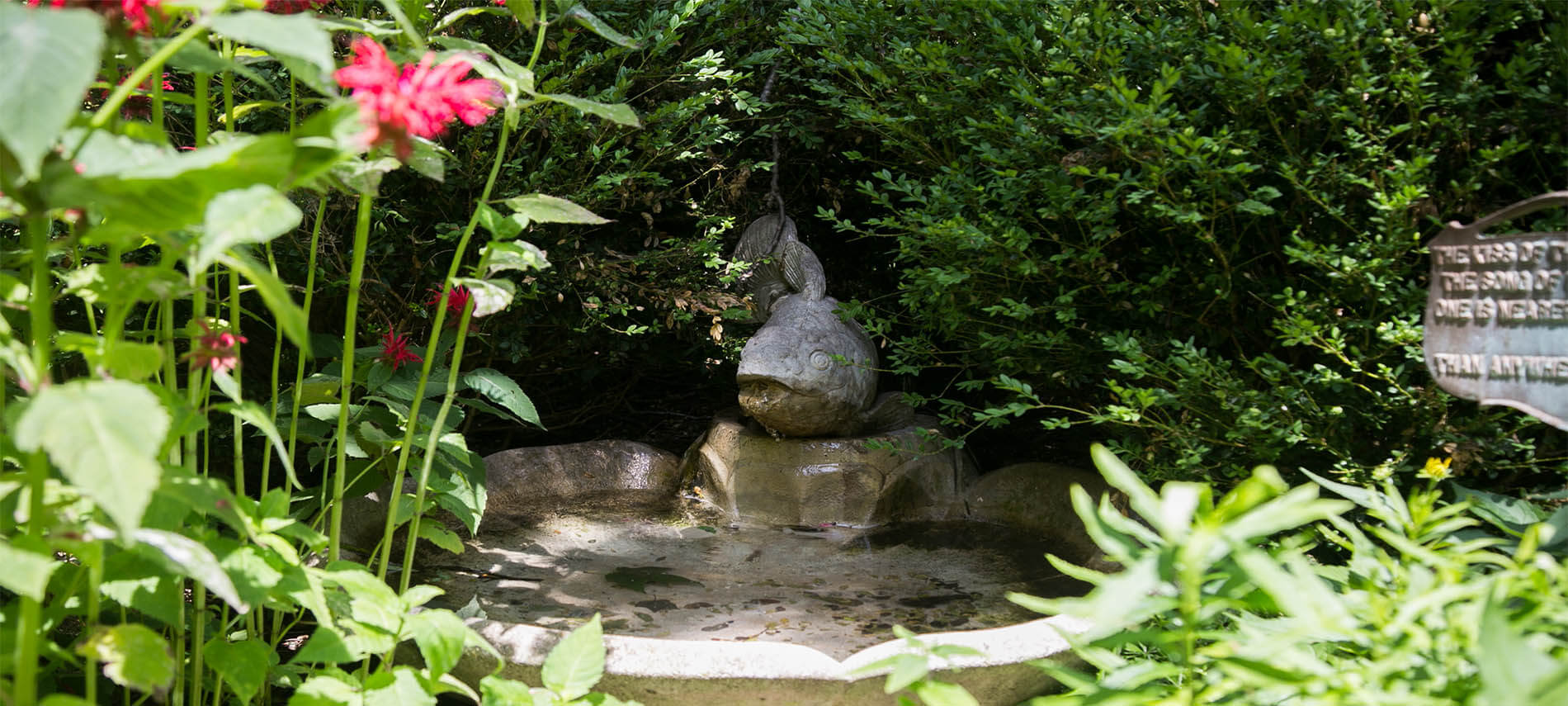 Cement koi fountain over pond with severay aquatic grasses next to a decorative sign..