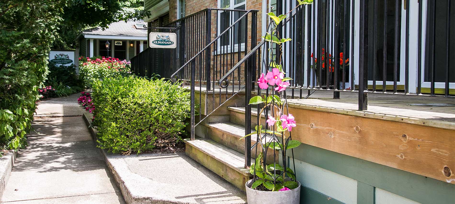 Pink Hibiscus sitting next to walkway. Bushes, red and pink flowers next to the door.