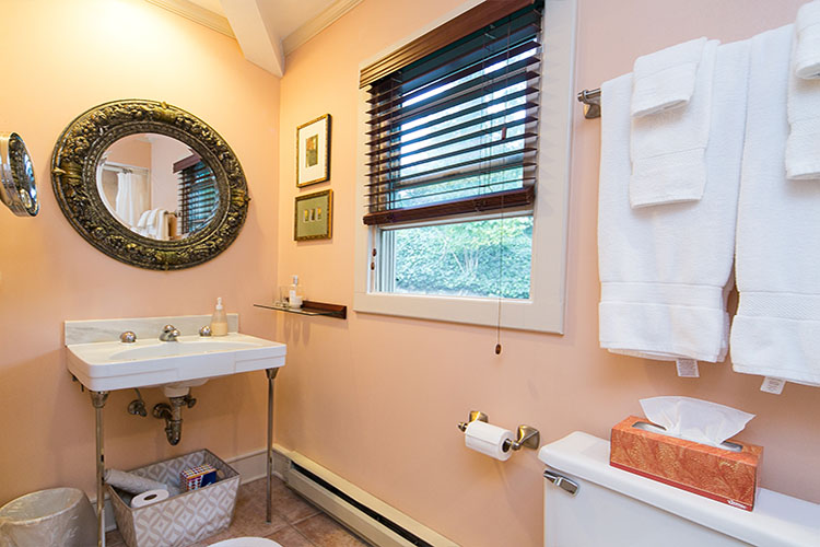 Bathroom with sink, window, and white fluffy towels. Kleenex sitting on toilet.